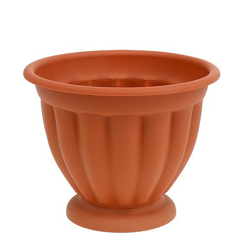 Floristik24 Vazonas su pagrindu Ø17cm, aukštis 14cm