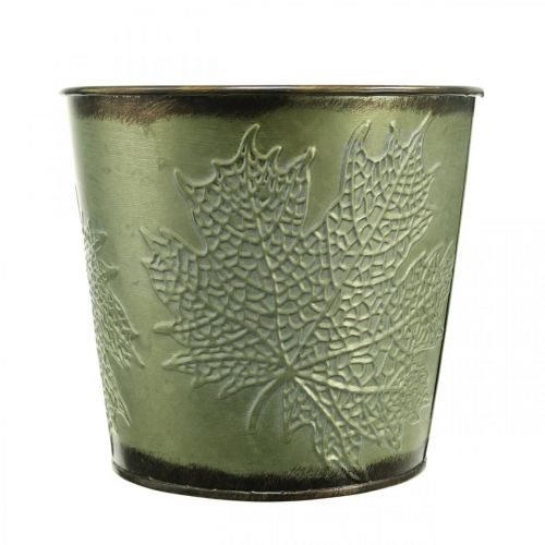 daiktų Sėjamoji rudeniui, vazonėlis su lapų apdaila, metalinis kibiras žalias Ø14cm H12,5cm