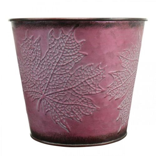 daiktų Vazonas su lapų puošmena, rudens puošmena, metalinis vazonas vyno raudonas Ø16,5 cm H14,5 cm