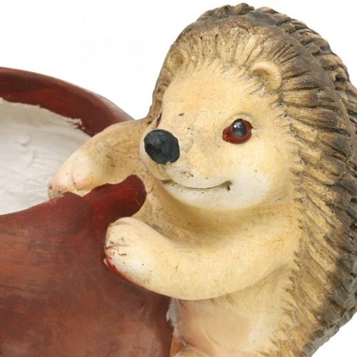 daiktų Sodinamoji, obuolys su ežiuku, rudens puošmena, vazonėlis, keraminis Ø16cm A22cm P33cm