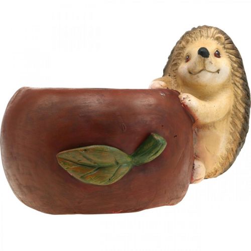 daiktų Sodinamoji, obuolys su ežiuku, rudens puošmena, vazonėlis, keraminis Ø16cm A22cm P33cm