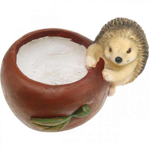 daiktų Sodinamoji, obuolys su ežiuku, rudens puošmena, vazonėlis, keraminis Ø16cm A22cm P33cm