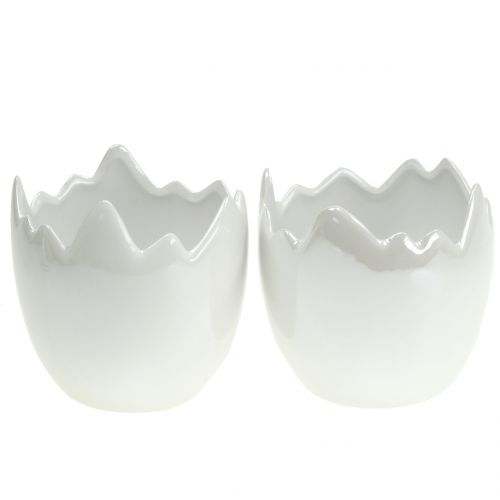 Sodinamosios kiaušinio lukštas baltas perlamutras Ø11cm H11cm 2vnt
