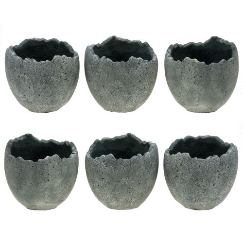 Sodų vazonas kiaušinio lukštas Ø12cm H11,5cm 6vnt