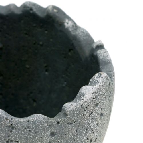 Floristik24 Sodų vazonas kiaušinio lukštas Ø12cm H11,5cm 6vnt