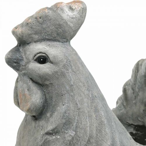 Floristik24 Vištiena sodinimui, Velykinė puošmena, vazonas augalams, spyruoklė, dekoratyvinė vištienos betoninė išvaizda H30cm