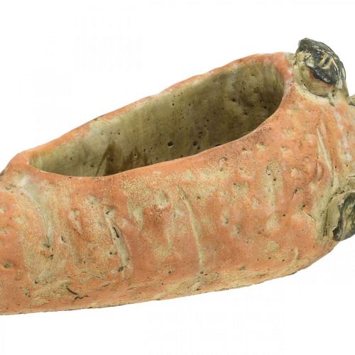 daiktų Dekoratyvinė morka, betono puošmena sodinimui, Velykų, morkų augalo vazonas, pavasario puošmena L28cm
