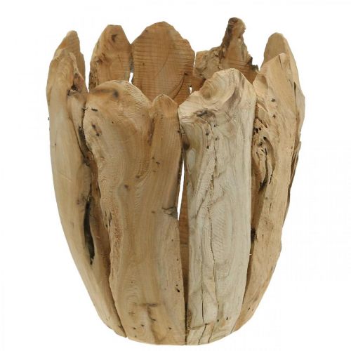 Floristik24 Vazonas Paulownia medis, vazonas, medžio apdaila H32cm Ø28cm