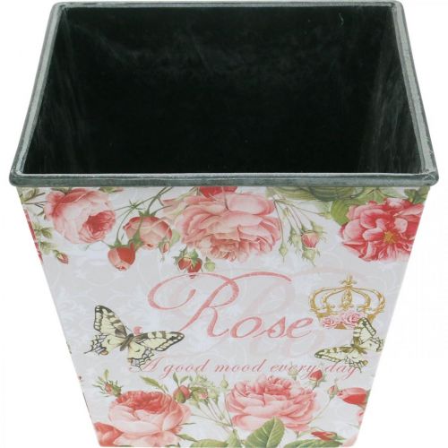 Floristik24 Sodintuvas vintažinis, dekoratyvinis vazonas, sodinukas rožės A13cm P13,5cm