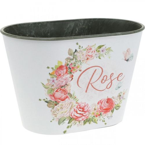 Sodinamoji, dekoratyvinės vazoninės rožės, gėlių dubuo L19cm A12,5cm