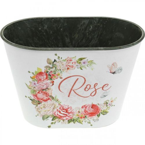 daiktų Sodinamoji, dekoratyvinės vazoninės rožės, gėlių dubuo L19cm A12,5cm