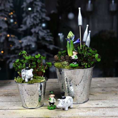 Floristik24 Vazonas su snaigėmis Ø12,5cm H10cm 4vnt