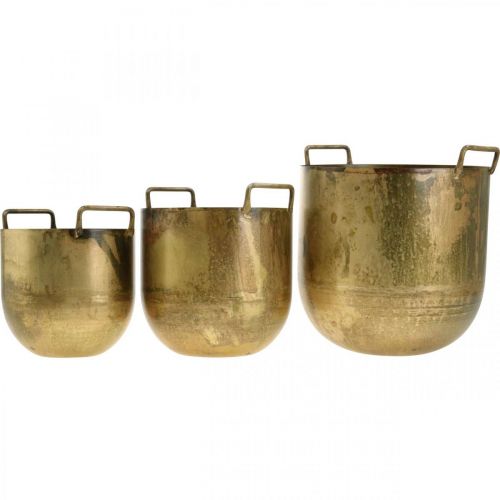 Floristik24 Antikvarinės išvaizdos vazonas su metalinėmis rankenomis H17 / 19,5 / 26 cm, 3 vnt.