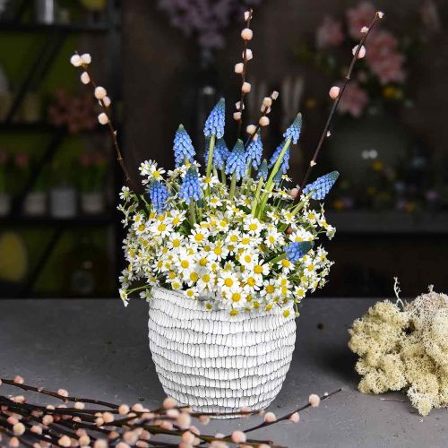 Floristik24 Sodintuvas betoninis baltas vintažinis gėlių vazonas korio H13cm Ø12,5cm 2vnt