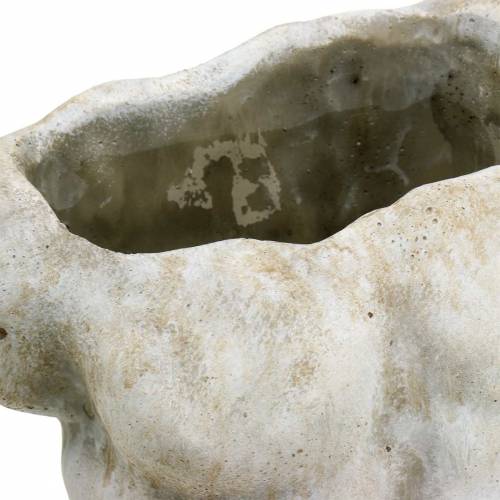 Floristik24 Augalų vazonas liemuo vyriškas pilkas 19 × 13,5 cm H28 cm