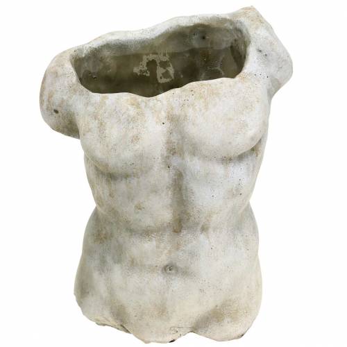 Floristik24 Augalų vazonas liemuo vyriškas pilkas 19 × 13,5 cm H28 cm