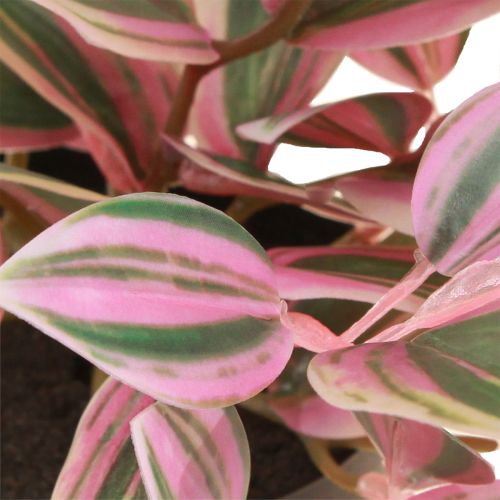 daiktų Tradescantia Dirbtinis žalias augalas vazone H19,5cm 2vnt