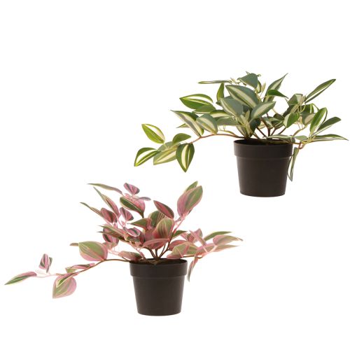 daiktų Tradescantia Dirbtinis žalias augalas vazone H19,5cm 2vnt