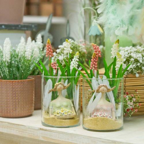 Floristik24 Vynuogių hiacintas beržo vazonėlyje baltas 24cm