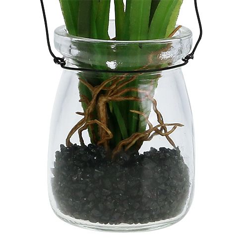 daiktų Vynuogių hiacintas dirbtinis rožinis stiklinėje 16cm
