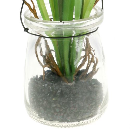 daiktų Vynuogių hiacintas baltas stiklinėje pakabinimui H22cm