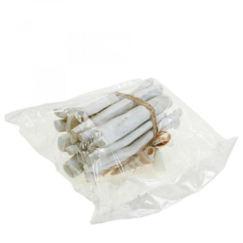 daiktų Driftwood Deco Driftwood Wood Bundle White L15cm