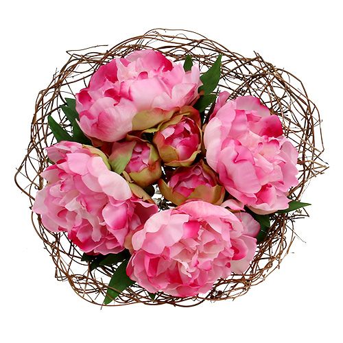 Floristik24 Piltuvėlis rankovės vijoklis Ø30cm natūralus 8vnt