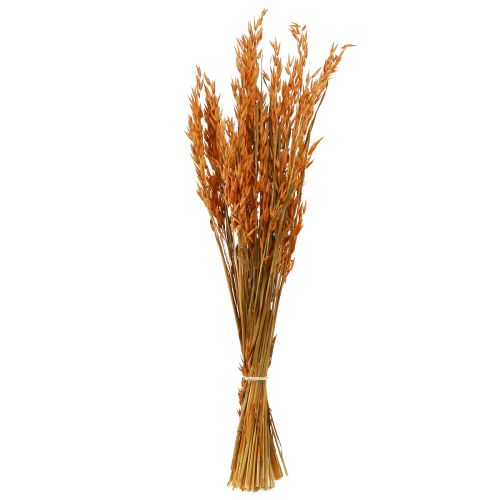 daiktų Dry Deco Oat Deco oranžinės spalvos L64cm 70-75g 2vnt