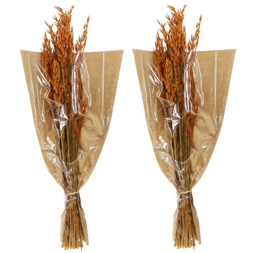 daiktų Dry Deco Oat Deco oranžinės spalvos L64cm 70-75g 2vnt