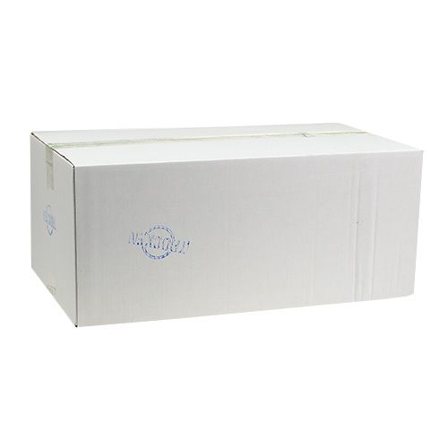 daiktų Sausos gėlių putplasčio plytos II pasirinkimas 20 vnt