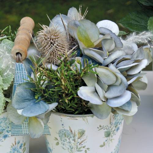 Floristik24 Džiovintos gėlės Thistle White skalbtos 60cm 100g