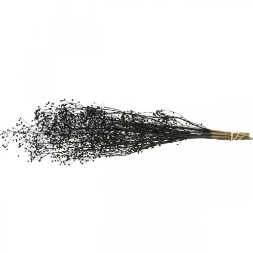 daiktų Džiovintos gėlės Massasa Black Natural Decoration 50-55cm 10 vnt.