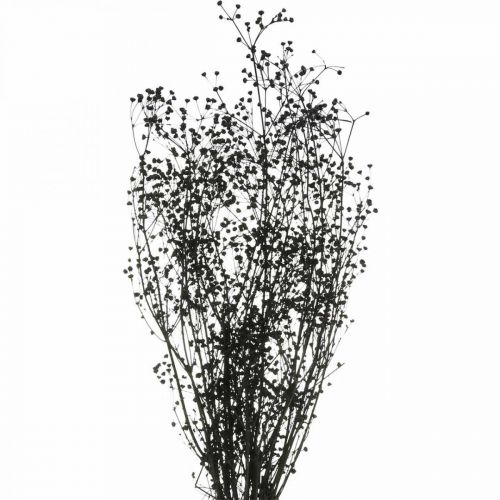 Džiovinta gėlė Massasa juoda natūrali puošmena 50-55cm kekė po 10vnt