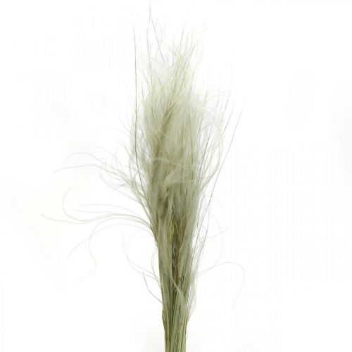 Floristik24 Džiovintos gėlės deko plunksnų žolė sausa žolė gamta 50g