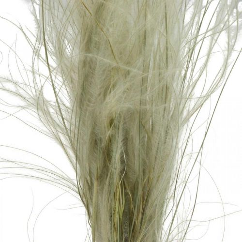 daiktų Džiovintos gėlės deko plunksnų žolė sausa žolė gamta 50g