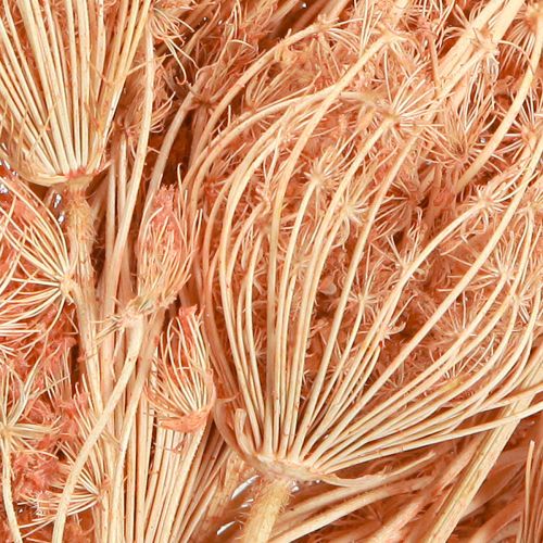 daiktų Džiovintų gėlių dekoravimas pankolis lašiša L50cm Ø4-5cm 100g