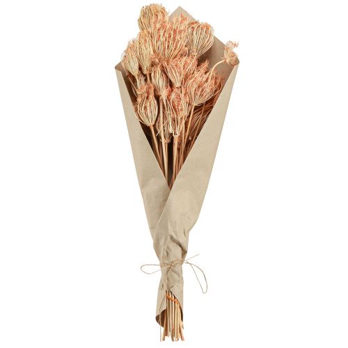 daiktų Džiovintų gėlių dekoravimas pankolis lašiša L50cm Ø4-5cm 100g