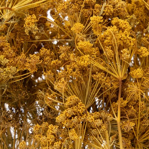 daiktų Džiovintų gėlių puokštė su subtiliais žiedais romantiškam vintažiniam dekoravimui 55 cm