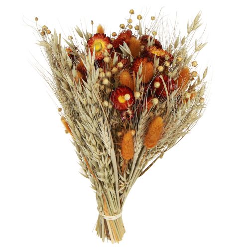 Floristik24 Džiovintų gėlių lauko gėlių puokštė šiaudų gėlių oranžinė L30cm