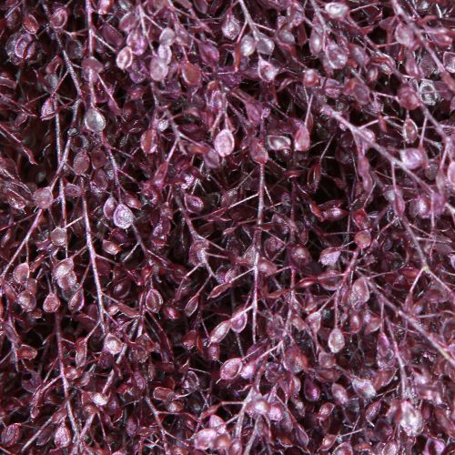 daiktų Džiovintų gėlių vainikas violetinis metalinis vainikas Lepidium Ø33cm
