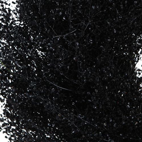 daiktų Džiovintų gėlių vainikas juodas metalinis Lepidium Ø33cm