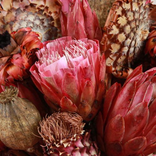 daiktų Džiovintų gėlių mišrainė rožinė protea artišokinė aguona 38cm 580g