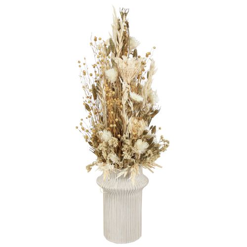Floristik24 Džiovintos gėlės baltas auksas su kepurėlėmis Phalaris 30cm 200g