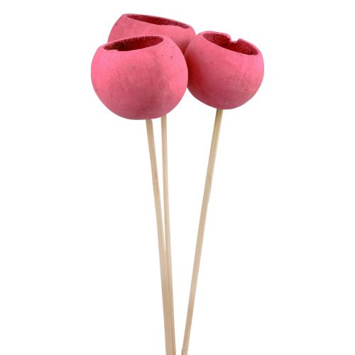 daiktų Džiovintų gėlių dekoratyviniai varpelių kaušeliai ant stiebo rožinės spalvos 42cm 3vnt