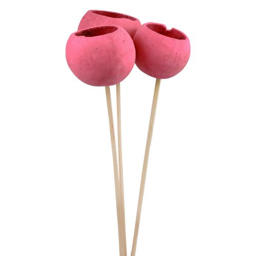 Džiovintų gėlių dekoratyviniai varpelio kaušeliai ant stiebo rausva 42cm 3 vnt