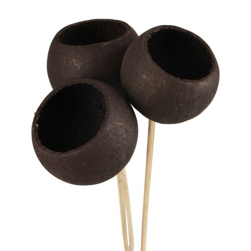 daiktų Džiovintų gėlių dekoratyvinės varpelio taurės ant kotelio juodos 44cm 3 vnt