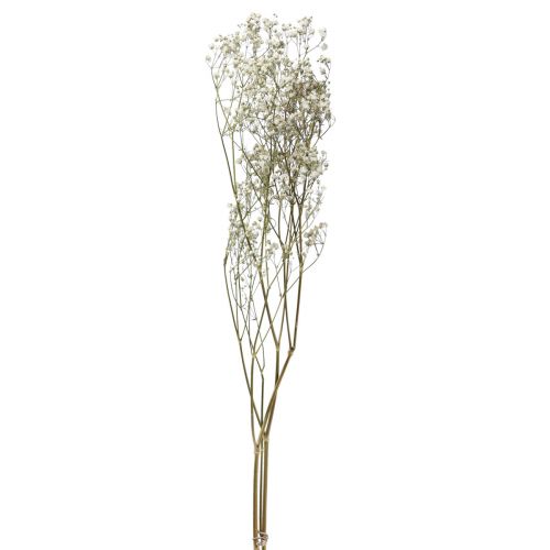 Floristik24 Džiovintos gėlės Gypsophila Gypsophila White 58cm 7g