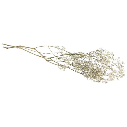 Floristik24 Džiovintos gėlės Gypsophila Gypsophila White 58cm 7g