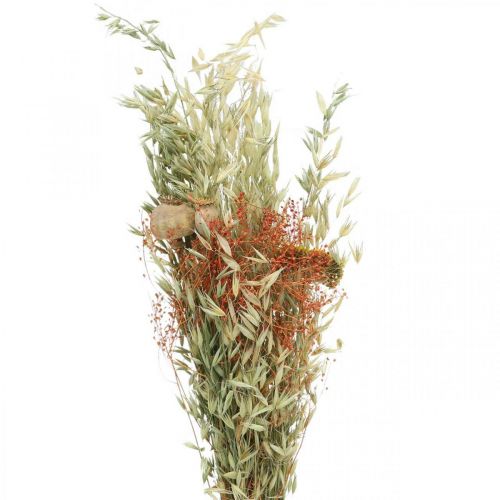 Floristik24 Džiovintų gėlių javų ir aguonų puokštė sausa dekoracija 60cm 100g