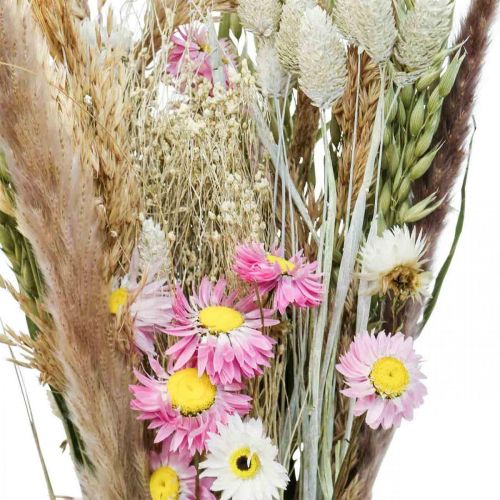 daiktų Džiovintų gėlių puokštė žolė Phalaris šiaudinės gėlės rožinės spalvos 60cm 110g